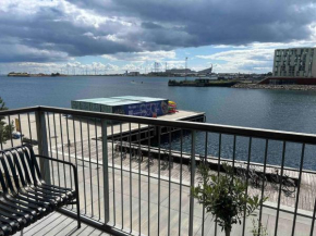 Entire apartment at the harbour front, Copenhagen